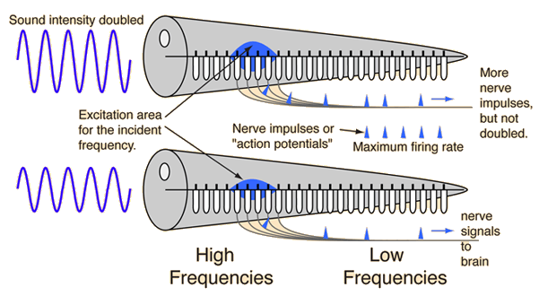 Intensidad cetosis