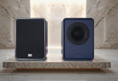 Denton 1S by Wharfedale